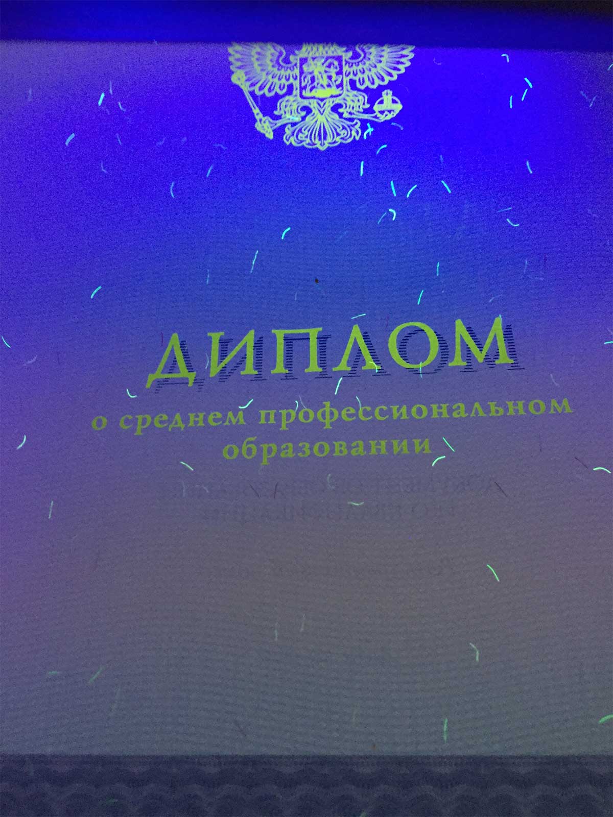Диплом техникума, колледжа 2014-2026 Фото